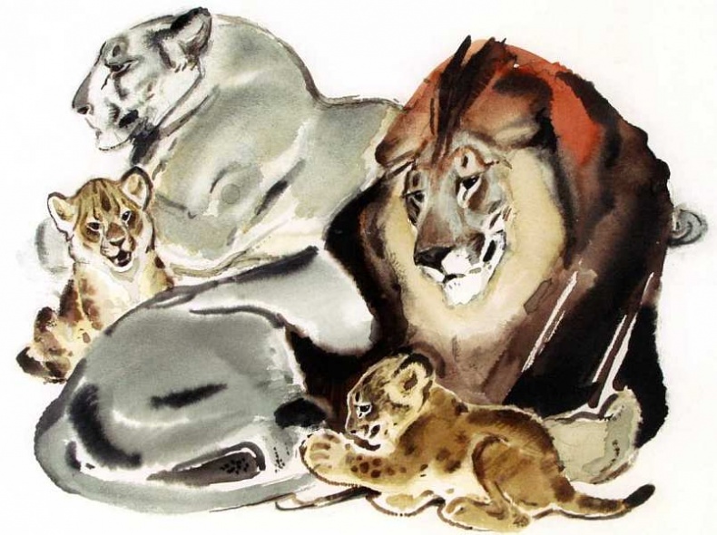 Иллюстрация к книге — Государственный Дарвиновский музей Москва [i_084.jpg]