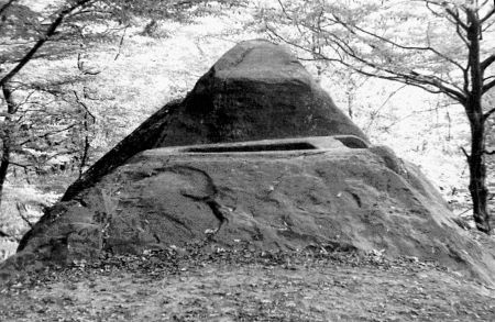 Иллюстрация к книге — Сочи. Олимпийская Ривьера России [i_002.jpg]