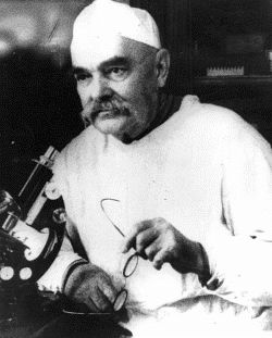 Иллюстрация к книге — Сочи. Олимпийская Ривьера России [i_023.jpg]