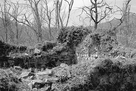 Иллюстрация к книге — Сочи. Олимпийская Ривьера России [i_035.jpg]