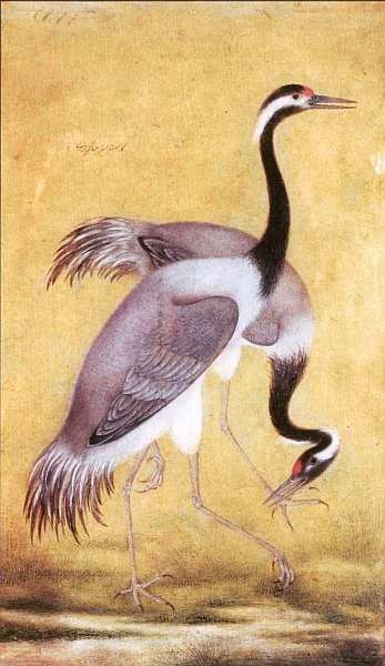 Иллюстрация к книге — Музей Виктории и Альберта Лондон [i_076.jpg]