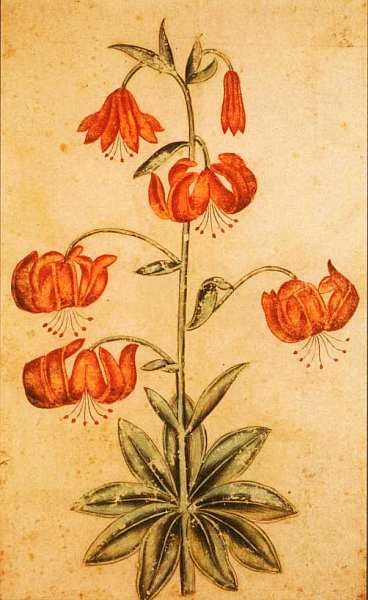 Иллюстрация к книге — Музей Виктории и Альберта Лондон [i_078.jpg]