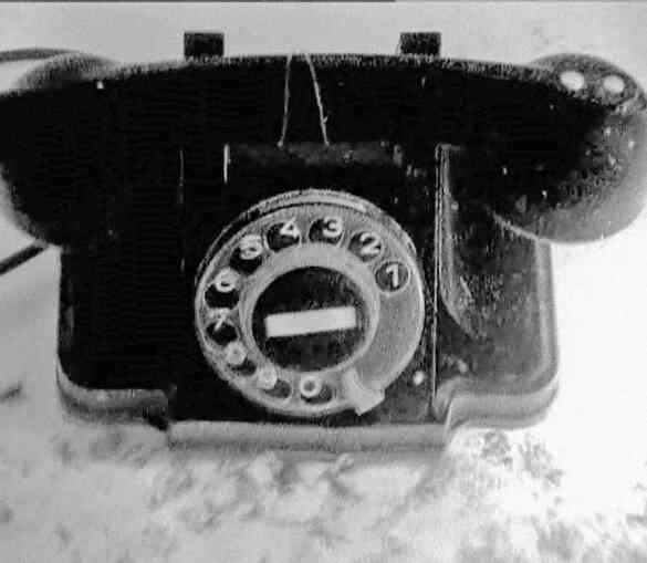 Иллюстрация к книге — «Агата Кристи». Чёрные сказки белой зимы [i_127.jpg]