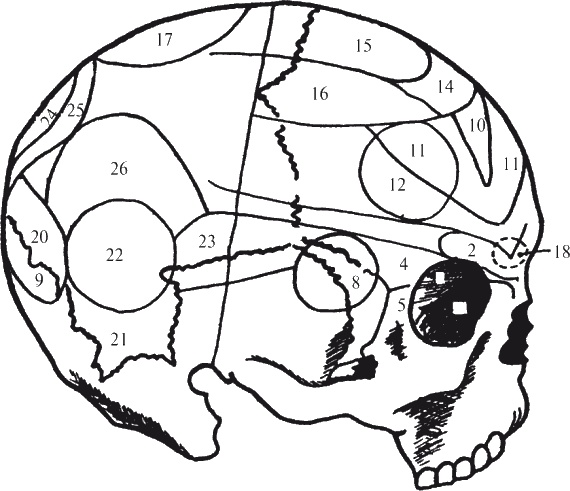 Иллюстрация к книге — Как читать человека. Черты лица, жесты, позы, мимика [i_021.jpg]