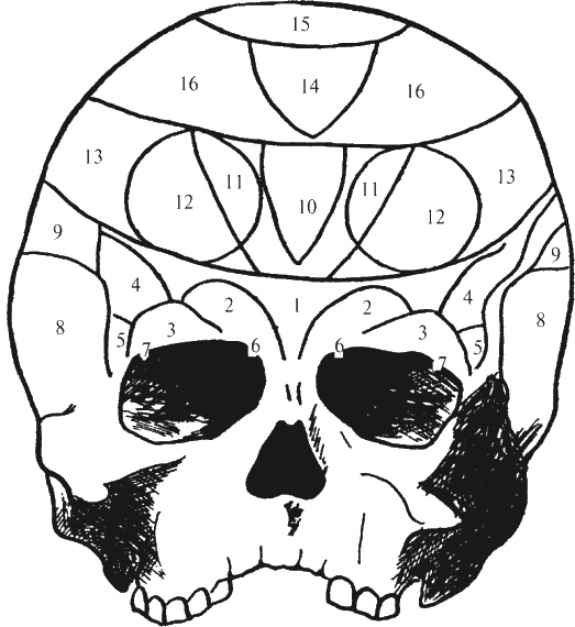 Иллюстрация к книге — Как читать человека. Черты лица, жесты, позы, мимика [i_022.jpg]