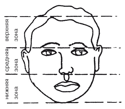 Иллюстрация к книге — Как читать человека. Черты лица, жесты, позы, мимика [i_024.jpg]