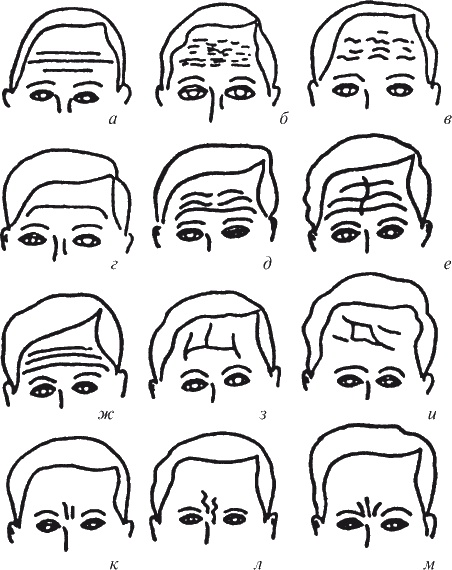 Иллюстрация к книге — Как читать человека. Черты лица, жесты, позы, мимика [i_066.jpg]