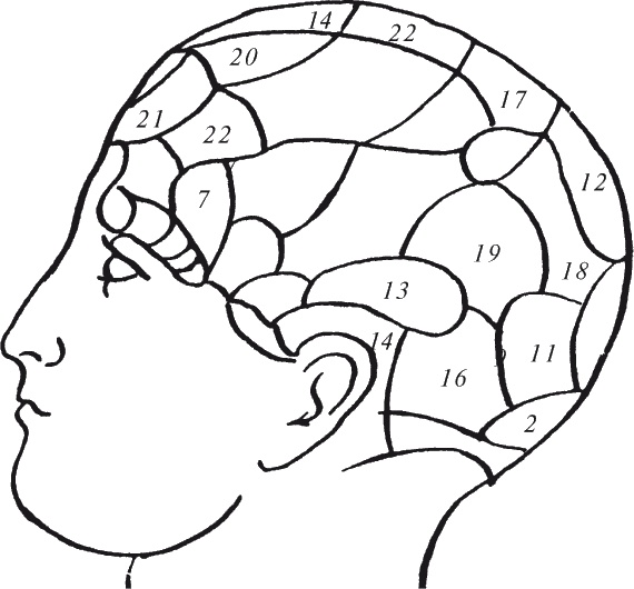 Иллюстрация к книге — Как читать человека. Черты лица, жесты, позы, мимика [i_067.jpg]