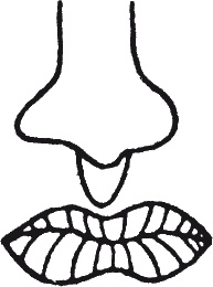 Иллюстрация к книге — Как читать человека. Черты лица, жесты, позы, мимика [i_090.jpg]