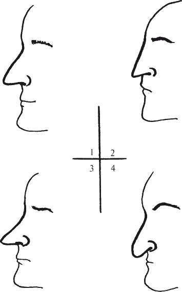 Иллюстрация к книге — Как читать человека. Черты лица, жесты, позы, мимика [i_093.jpg]