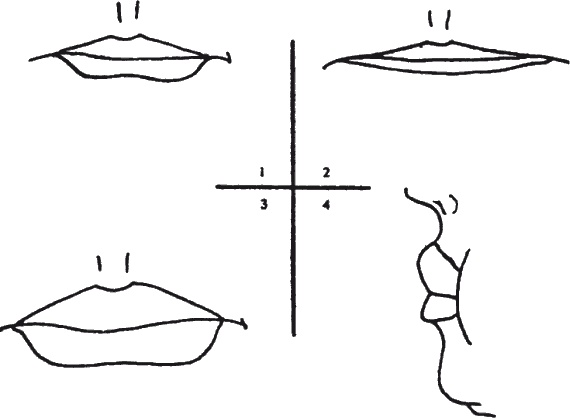 Иллюстрация к книге — Как читать человека. Черты лица, жесты, позы, мимика [i_097.jpg]