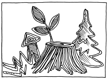 Иллюстрация к книге — Плетение из бумажных лент [i_153.jpg]