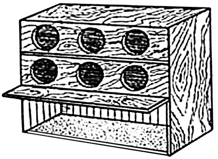 Иллюстрация к книге — Разведение и выращивание кур обычных пород и бройлеров [i_008.jpg]