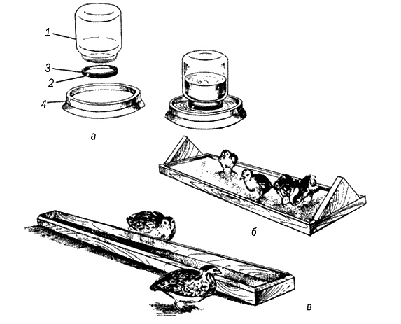 Иллюстрация к книге — Разведение и выращивание индюков, перепелок и цесарок [i_007.jpg]