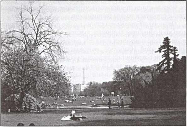 Иллюстрация к книге — Блистательный Париж. История. Легенды. Предания [i_099.jpg]