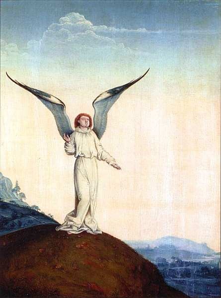 Иллюстрация к книге — Музей Фогга Гарвард [i_020.jpg]