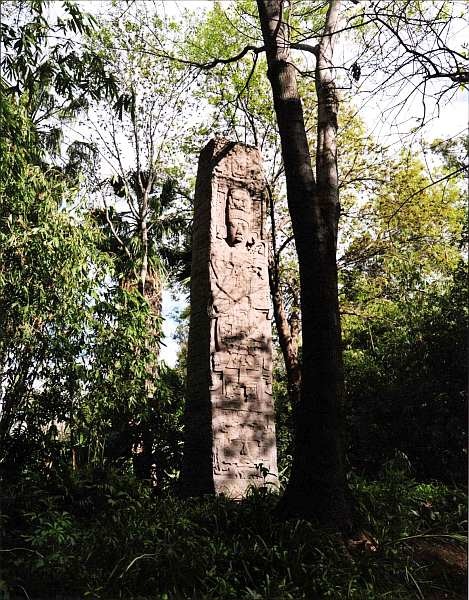 Иллюстрация к книге — Национальный музей антропологии Мехико [i_004.jpg]