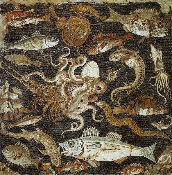 Иллюстрация к книге — Национальный археологический музей Неаполь [i_067.jpg]