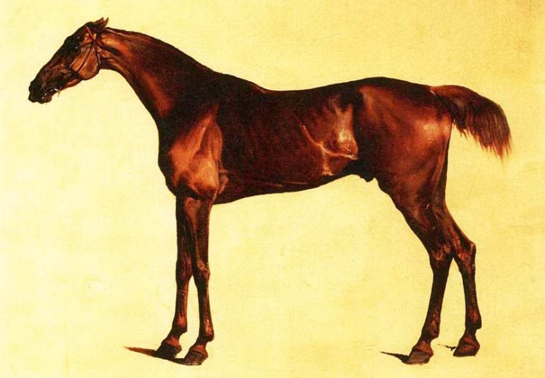 Иллюстрация к книге — Художественный музей Индианаполис [i_022.jpg]