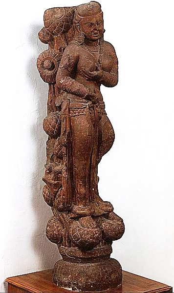 Иллюстрация к книге — Национальный музей Индии [i_012.jpg]