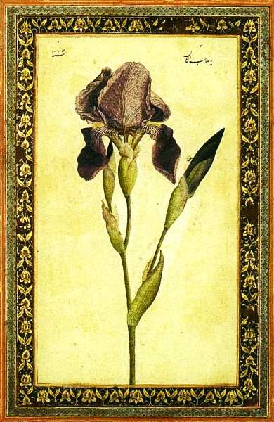 Иллюстрация к книге — Бруклинский музей Нью-Йорк [i_020.jpg]