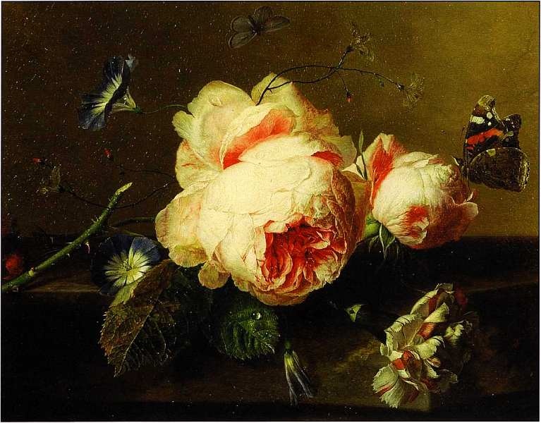 Иллюстрация к книге — Маурицхейс Гаага [i_033.jpg]