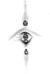 Иллюстрация к книге — Энциклопедия Пирсинга. Настольная книга мастера и клиента [doublenavel.jpg]