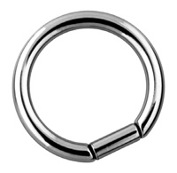 Иллюстрация к книге — Энциклопедия Пирсинга. Настольная книга мастера и клиента [dsegment.jpg]