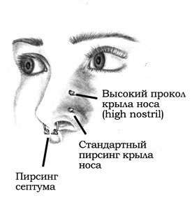 Иллюстрация к книге — Энциклопедия Пирсинга. Настольная книга мастера и клиента [nosepiercings.jpg]