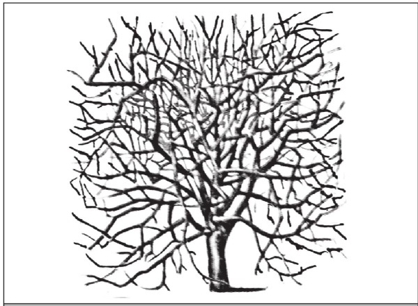 Иллюстрация к книге — Формирование и обрезка садовых деревьев [i_004.jpg]