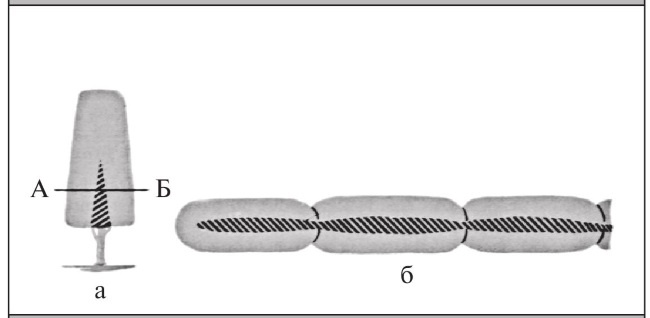 Иллюстрация к книге — Формирование и обрезка садовых деревьев [i_026.jpg]