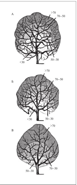 Иллюстрация к книге — Формирование и обрезка садовых деревьев [i_052.jpg]
