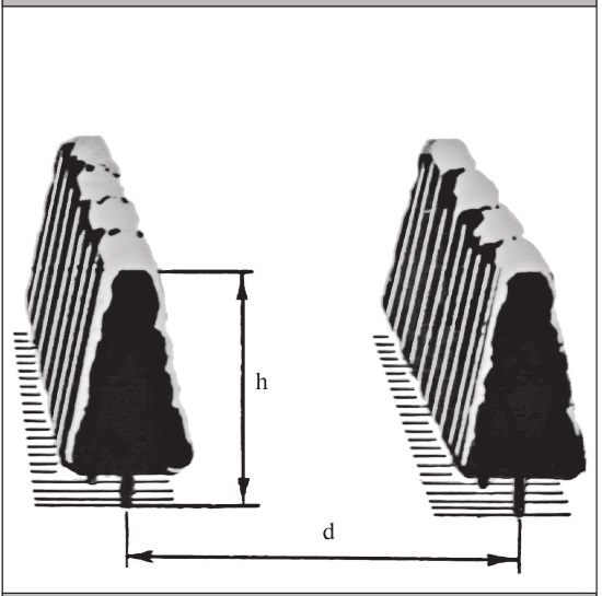 Иллюстрация к книге — Формирование и обрезка садовых деревьев [i_054.jpg]