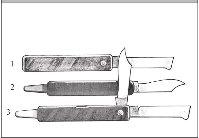 Иллюстрация к книге — Формирование и обрезка садовых деревьев [i_098.jpg]