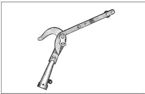 Иллюстрация к книге — Формирование и обрезка садовых деревьев [i_100.jpg]