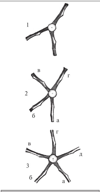 Иллюстрация к книге — Формирование и обрезка садовых деревьев [i_110.jpg]