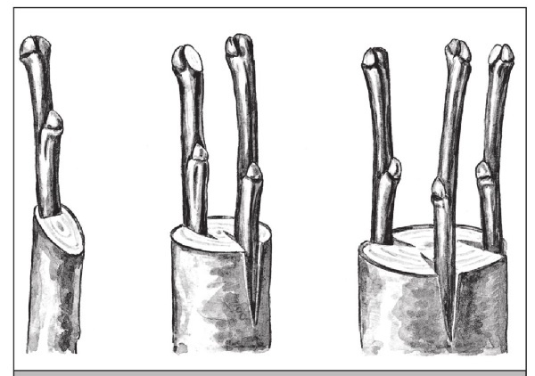 Иллюстрация к книге — Формирование и обрезка садовых деревьев [i_286.jpg]