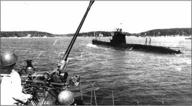 Иллюстрация к книге — Героические корабли Великой Отечественной [i_197.jpg]