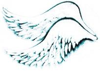 Иллюстрация к книге — Шестой Ангел. Полет к мечте. Исполнение желаний. [i_001.jpg]