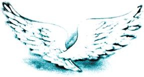 Иллюстрация к книге — Шестой Ангел. Полет к мечте. Исполнение желаний. [i_021.jpg]