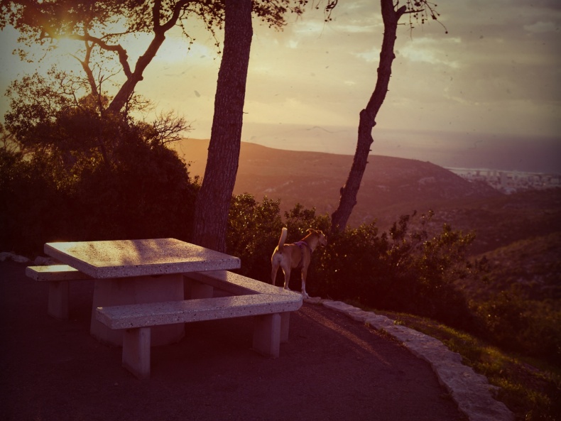 Иллюстрация к книге — Дебажить Жизнь [_1.jpg]