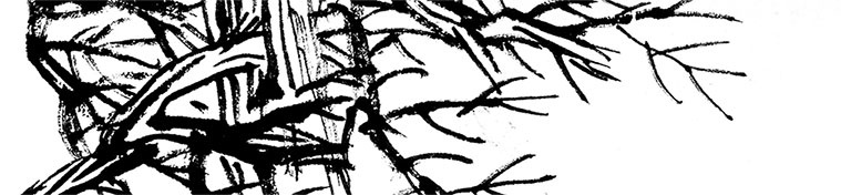 Иллюстрация к книге — Чжуан-Цзы Бронислава Виногродского. Книга о знании и власти [i_189.jpg]