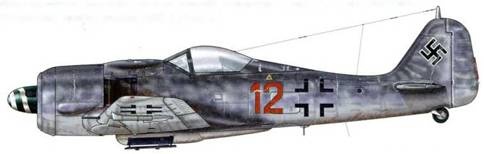 Иллюстрация к книге — Фокке-Вульф Fw 190, 1936-1945 [pic_147.jpg]