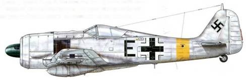 Иллюстрация к книге — Фокке-Вульф Fw 190, 1936-1945 [pic_166.jpg]