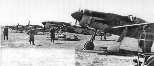 Иллюстрация к книге — Фокке-Вульф Fw 190, 1936-1945 [pic_173.jpg]