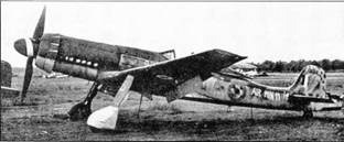 Иллюстрация к книге — Фокке-Вульф Fw 190, 1936-1945 [pic_219.jpg]