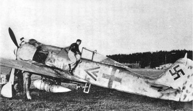 Иллюстрация к книге — Фокке-Вульф Fw 190, 1936-1945 [pic_41.jpg]