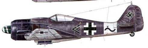 Иллюстрация к книге — Фокке-Вульф Fw 190, 1936-1945 [pic_95.jpg]