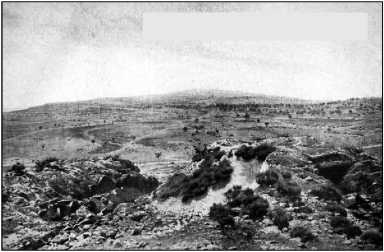 Иллюстрация к книге — Дарданеллы 1915: Самое кровавое поражение Черчилля [i_119.jpg]