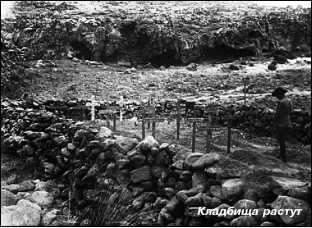 Иллюстрация к книге — Дарданеллы 1915: Самое кровавое поражение Черчилля [i_166.jpg]